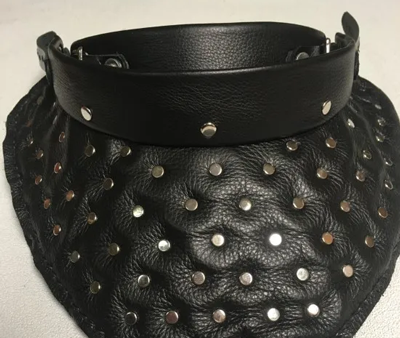 FencingGorget